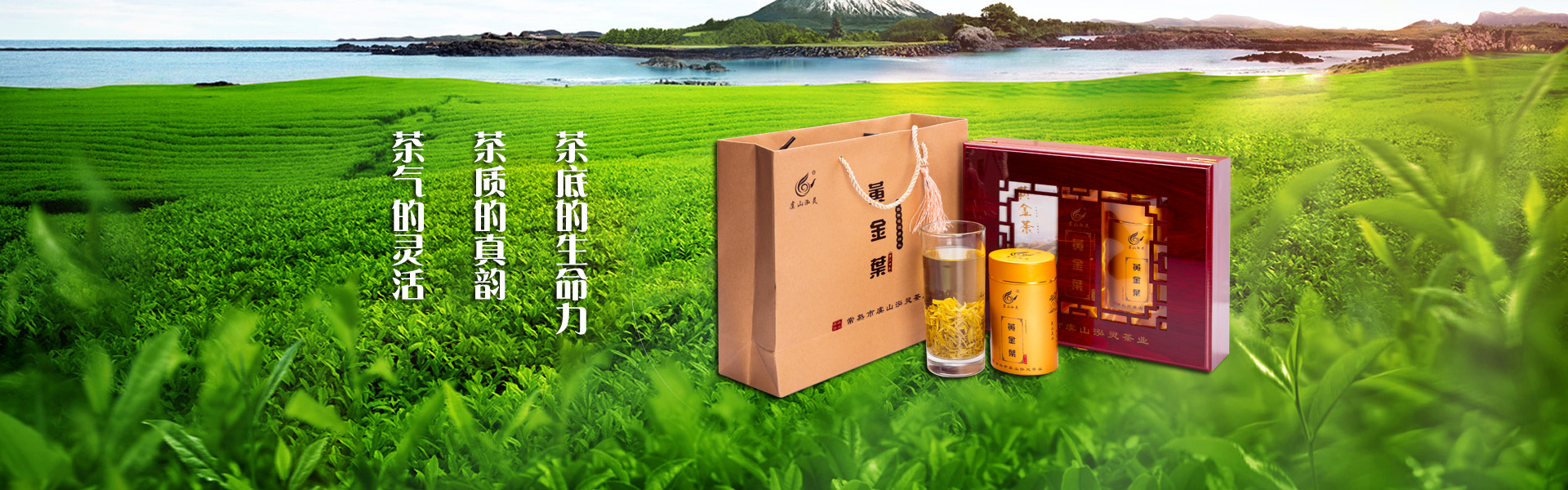 幻灯1