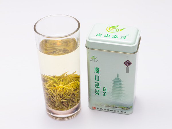 虞山泓灵白茶