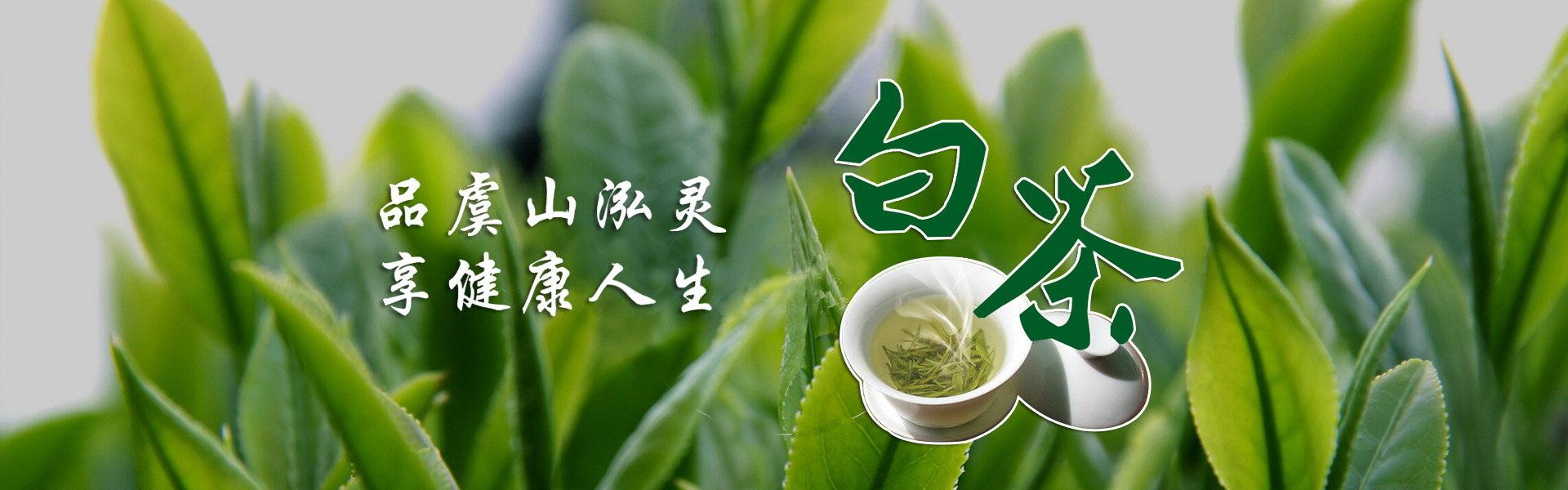 幻灯03